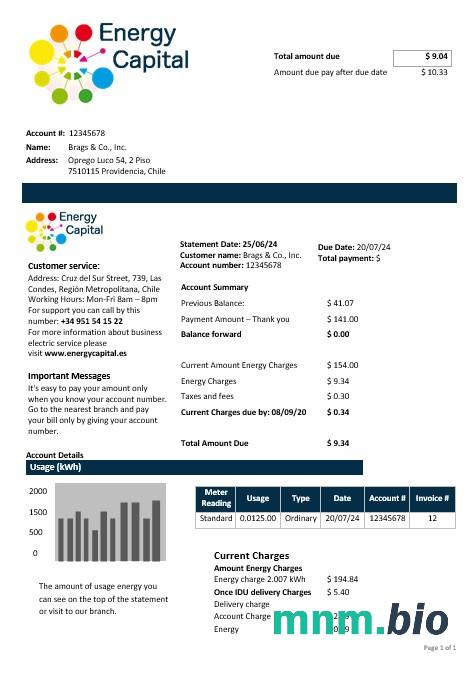 Chile Energy Capital rachunek za usługi komunalne szablon w formacie Word i pdf
